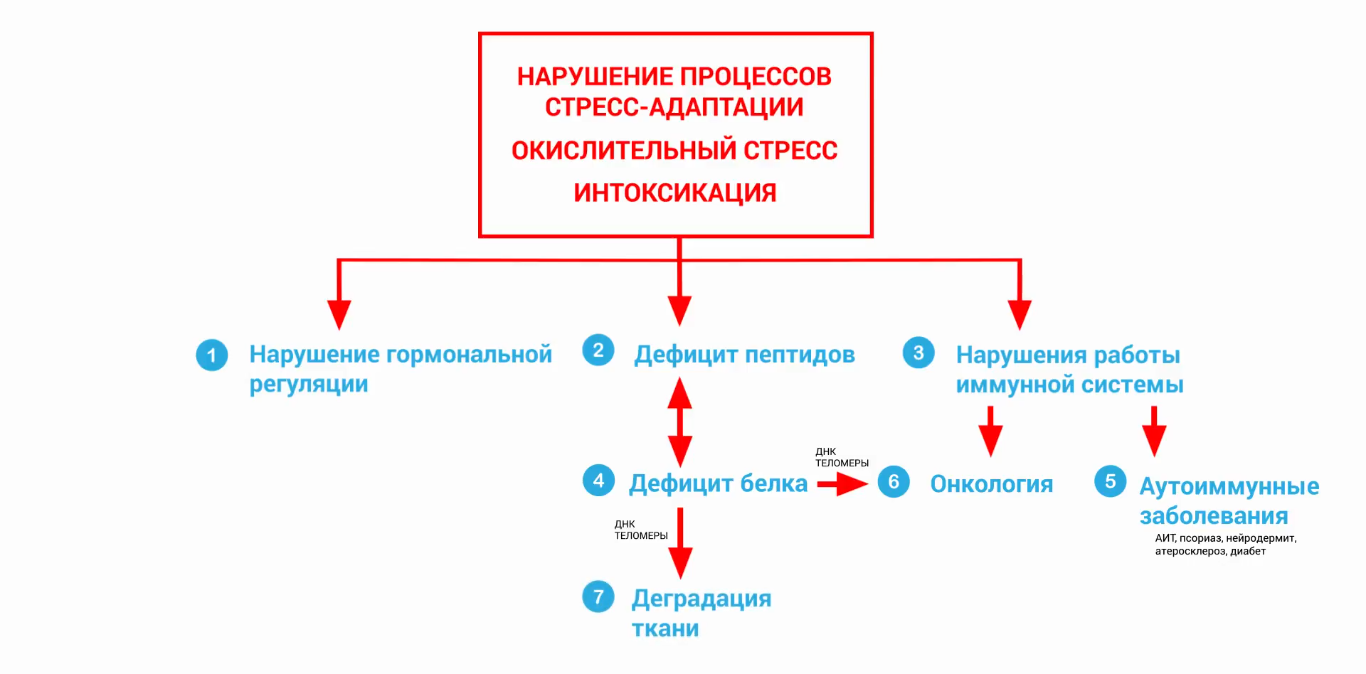 Схема интоксикации