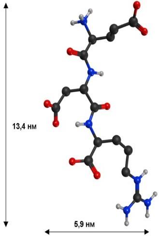 Проникновение пептидов через кожу